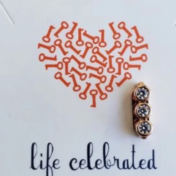 NWT Stella & Dot - Keep Collective - 3 charms on brown camouflage leather band - Picture 9 of 10